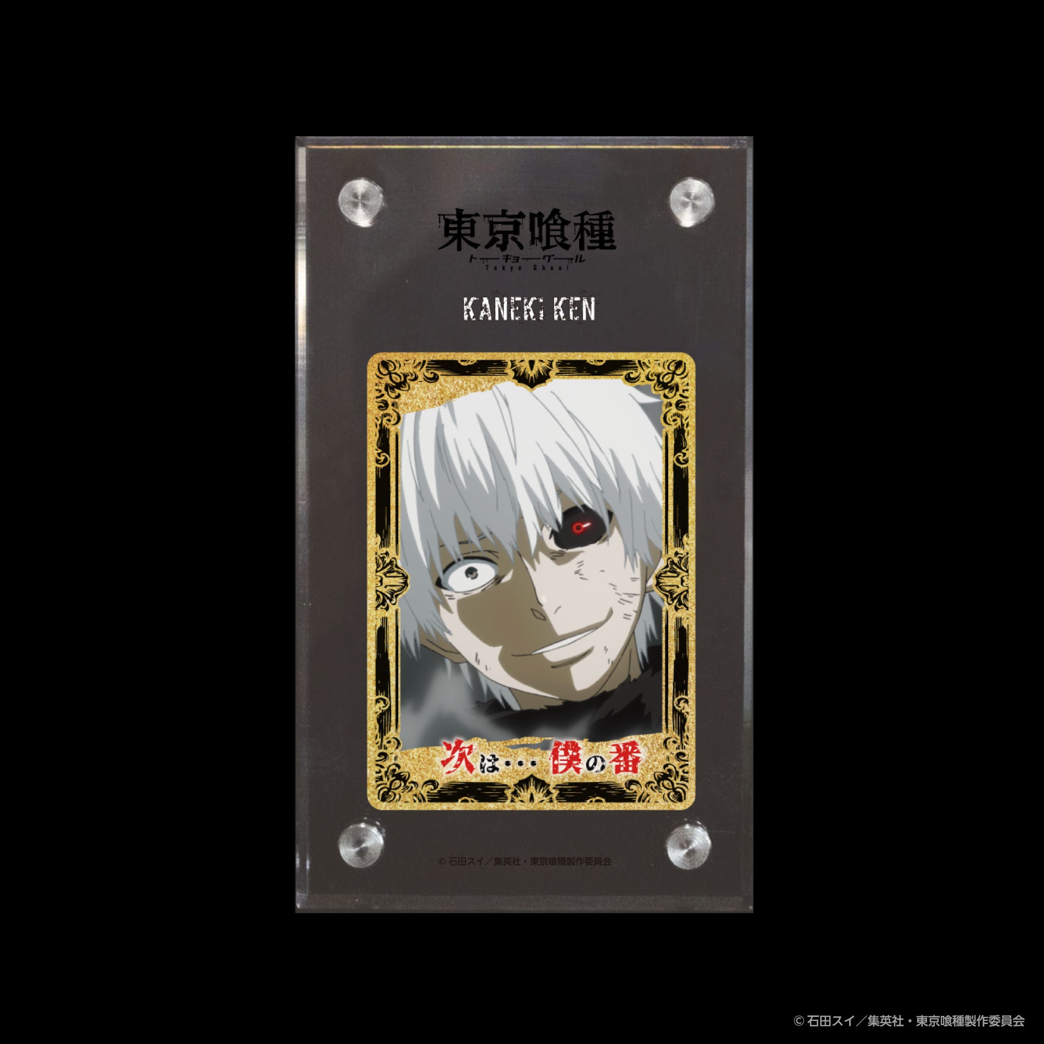 東京喰種_金木 研 A ver. – Premium Art Metal Collection